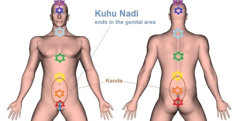Kuhu Nadi | Location, Pathway, and Map