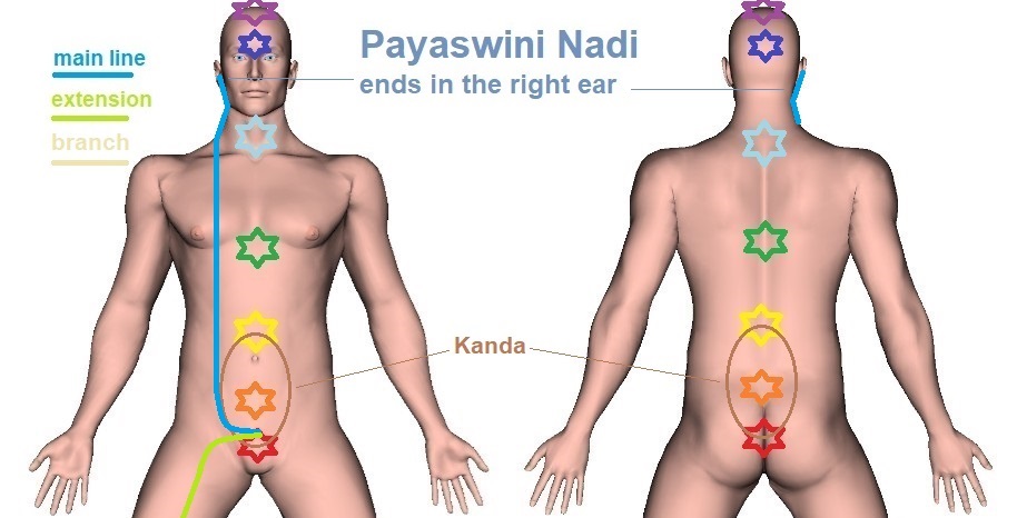 Payaswini Nadi | Location, Pathway, and Map