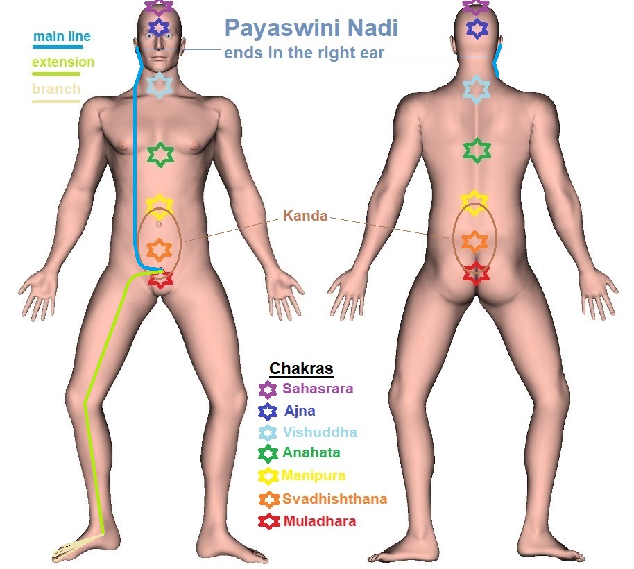 Payaswini Nadi - Trajectory Payasvini Nadi - Trajectory