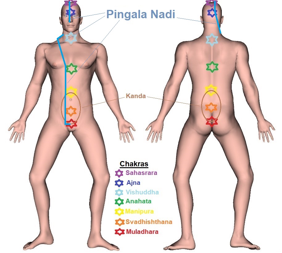 Pingala Nadi - Trajectory 1