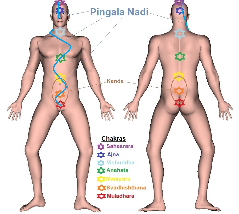 Pingala Nadi - Trajectory 2