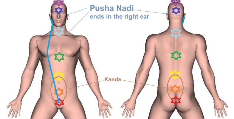 Pusha Nadi | Chart, Trajectory, and Function