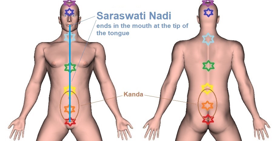 Saraswati Nadi | Location, Pathway, and Function