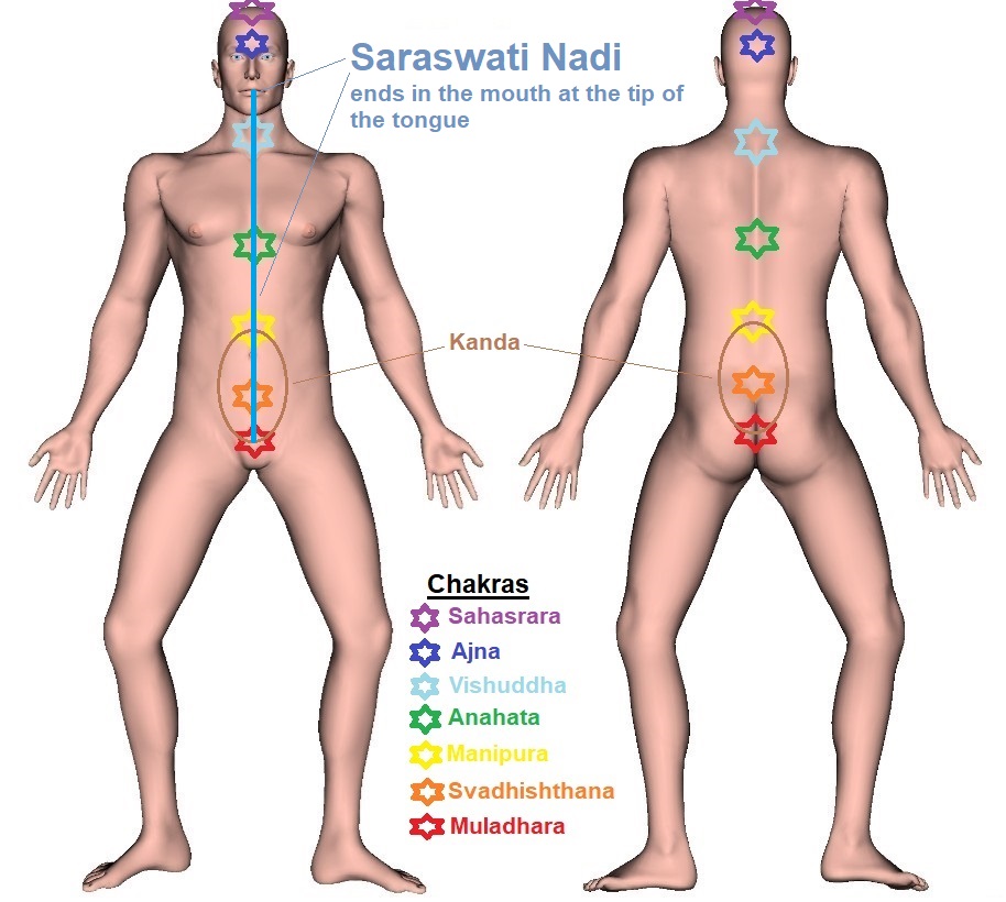 Saraswati Nadi - Trajectory
