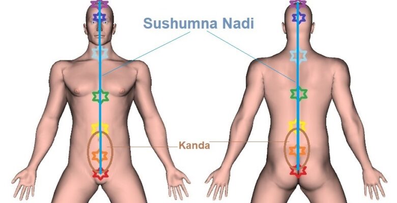 Sushumna Nadi – Trajectory, Indications, and Function