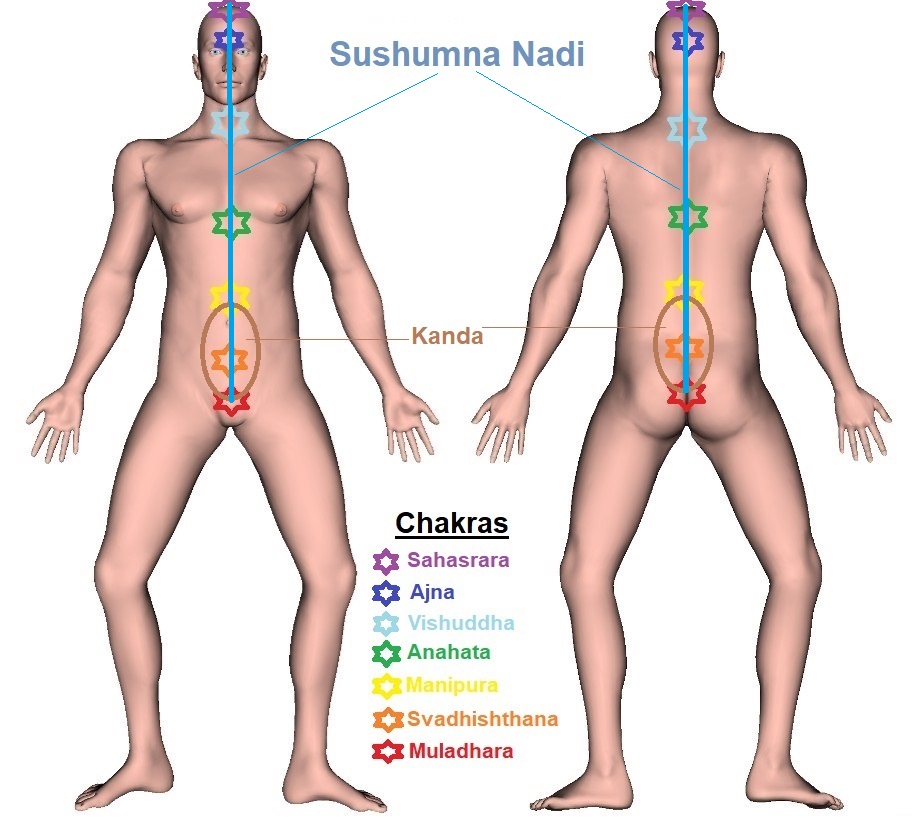 Sushumna Nadi - Trajectory