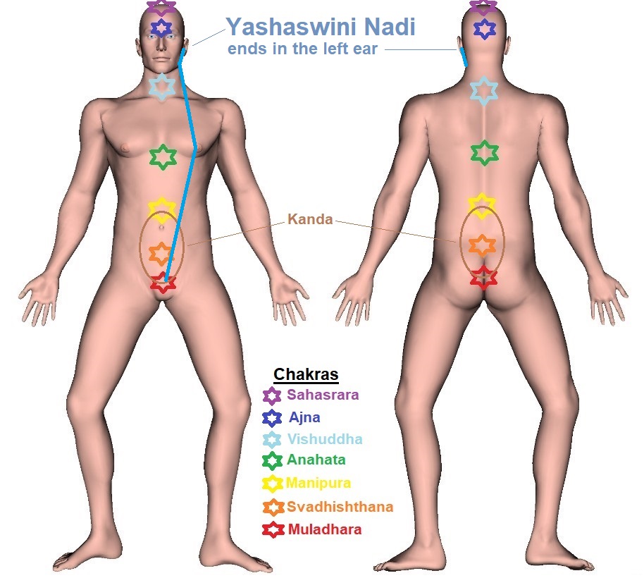 Yashaswini Nadi - Trajectory