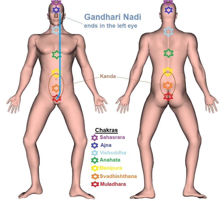 Gandhari Nadi - Trajectory Chart