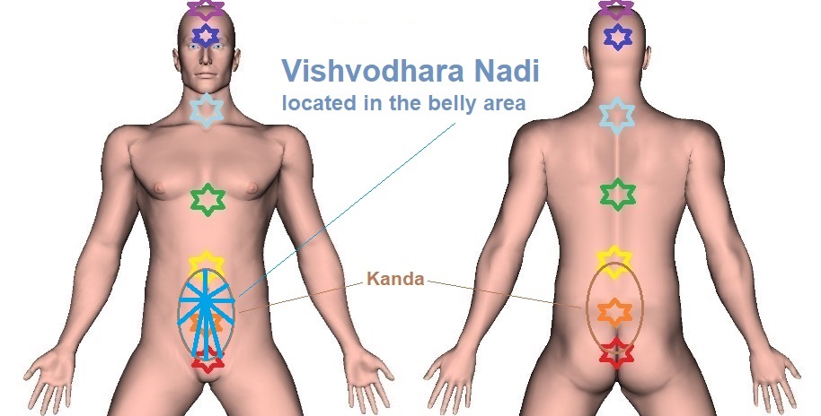 Vishvodhara Nadi | Trajectory, Location, and Function