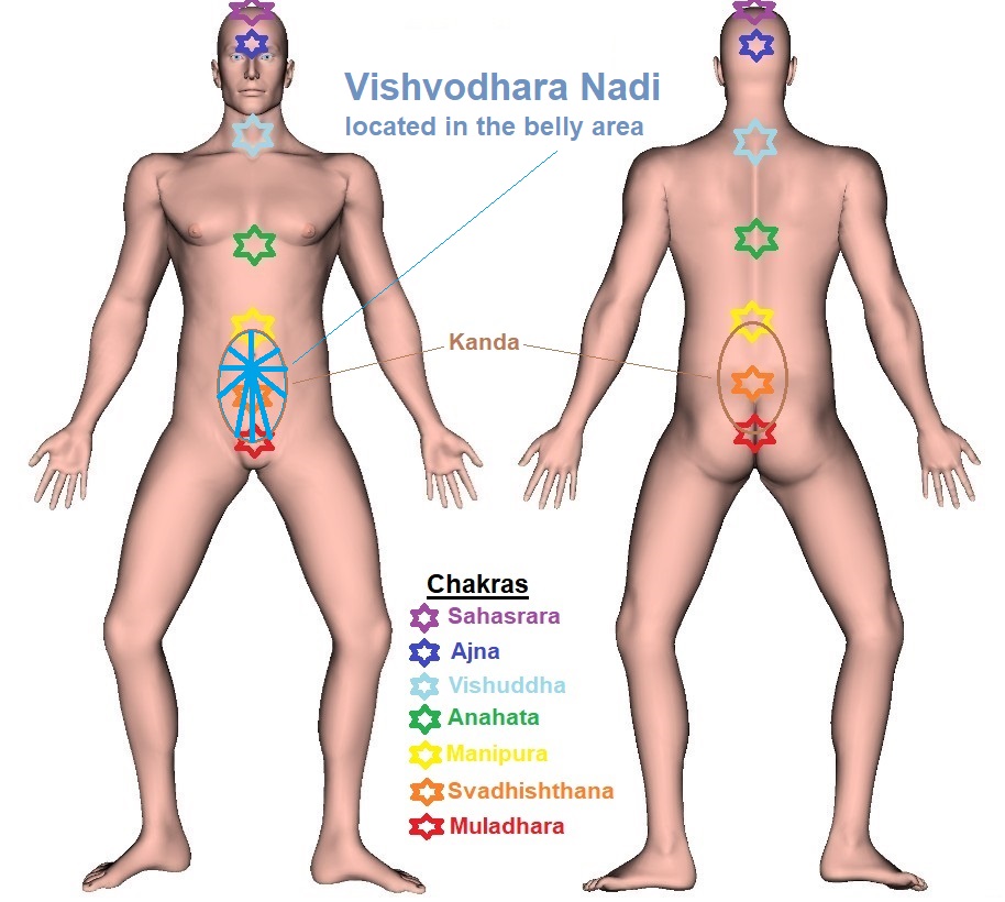 Vishvodhara Nadi - Trajectory