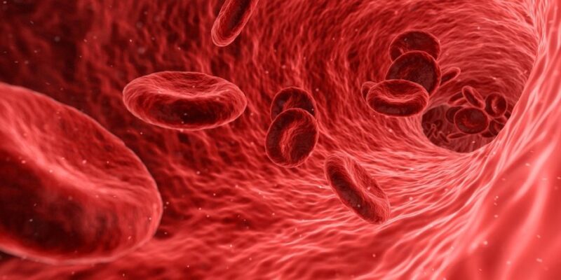 A Circulatory System Approach on the Sib Sen Energy Lines