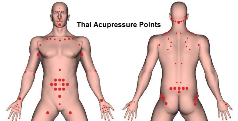 Thai Massage Acupressure Points – Chart Overview