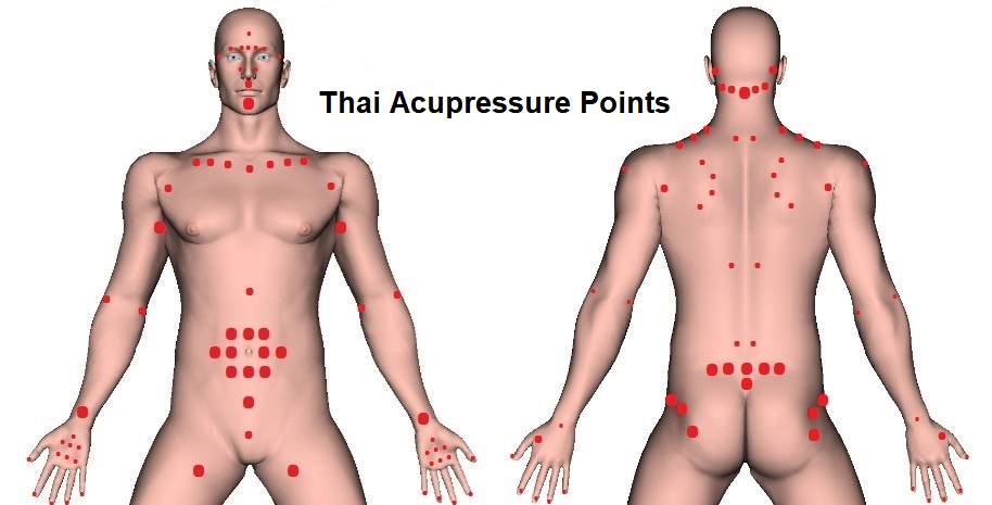 Thai Massage Acupressure Points Chart Overview