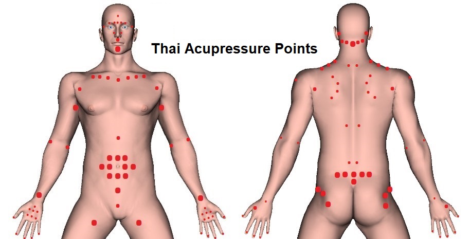 Acupressure Point Locations in Thai Massage