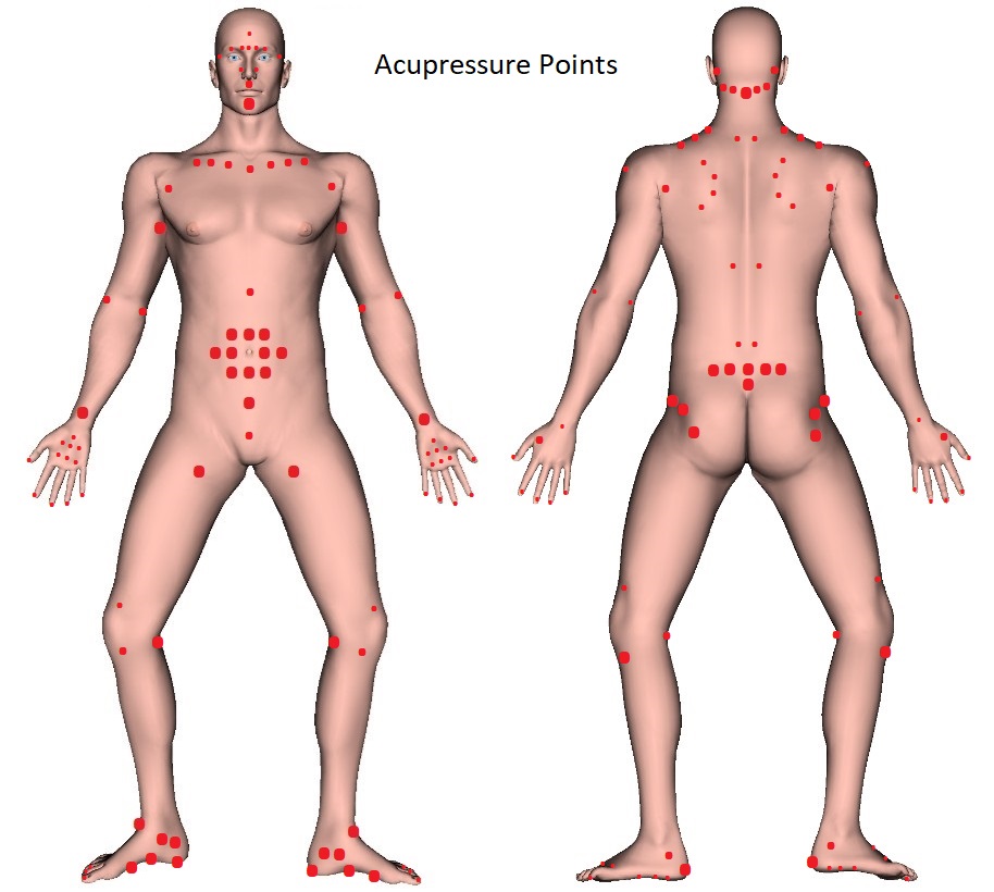 Thai Massage Acupressure Points