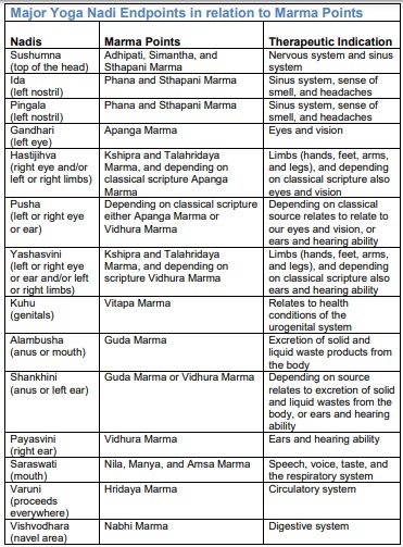 Marma Points and Nadi Termination Points