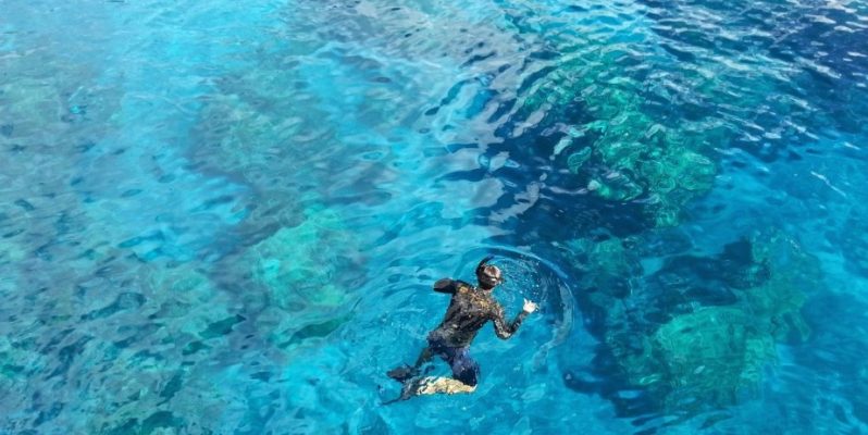 Snorkeling | Wonders of Underwater Life