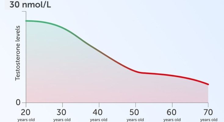 Testosterone Function and Other Sex Hormones in Men | Testicular Secretions