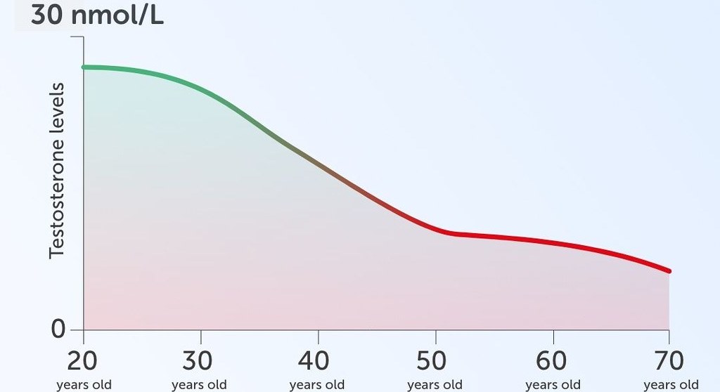 Testosterone Function and Other Sex Hormones for Men | Testicular Secretions