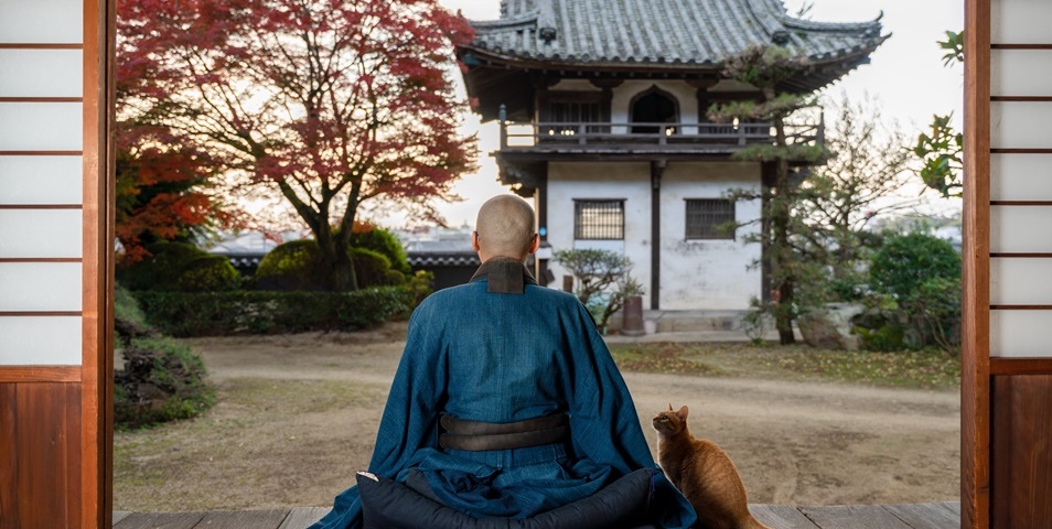 Reflections on Zen Master Jinen | Zazen Sitting Meditation