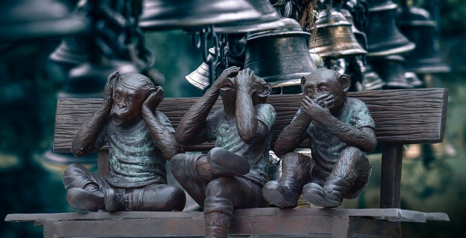 Monkeys on bench suffering noise pollution by bells