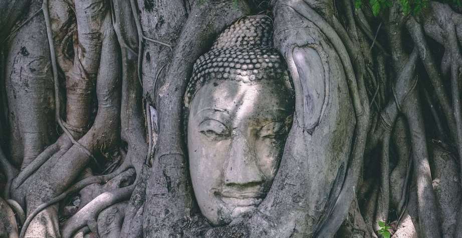 Sculpted head of Buddha in tree roots