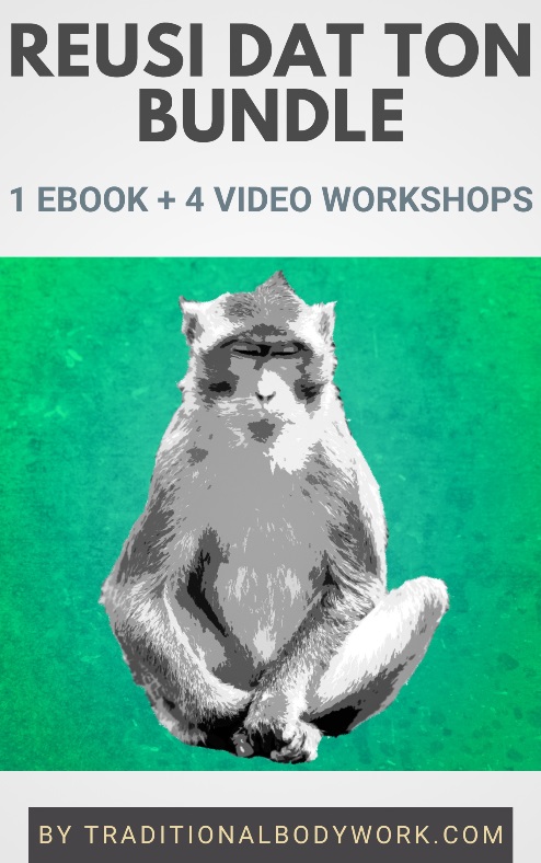 Video Workshop Bundle - Reusi Dat Ton