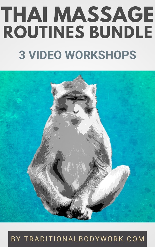 Video Workshop Bundle - Thai Massage Routines