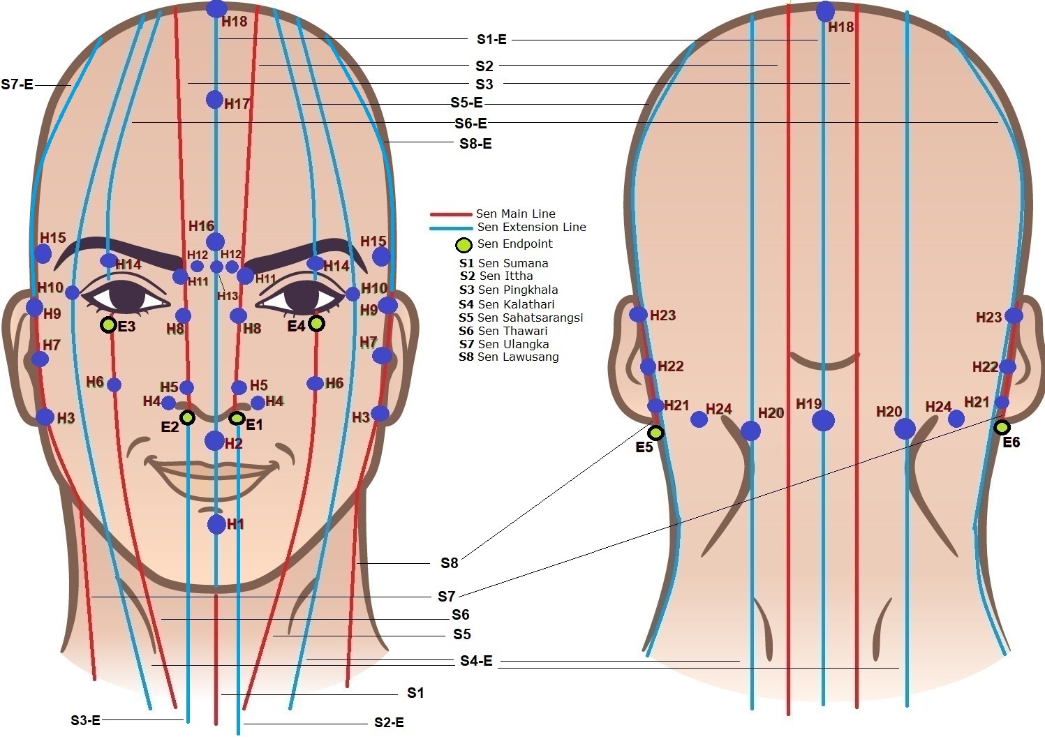 Acupressure Point Locations in Thai Massage