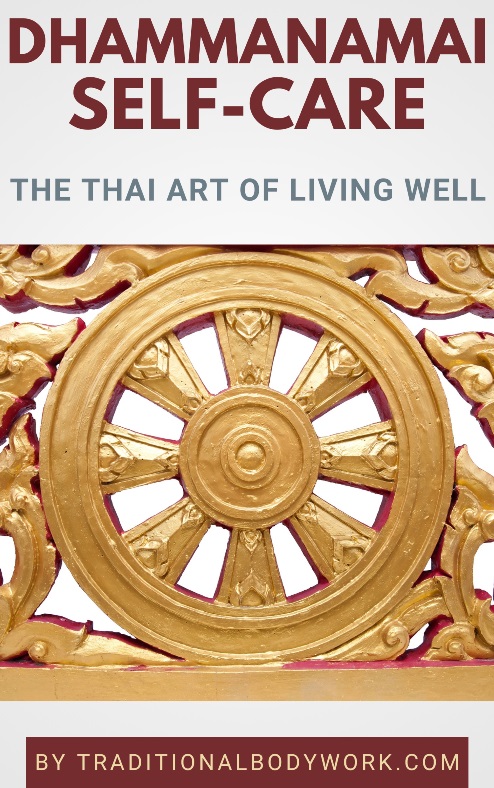 Dhammanamai Self-Care - eBook Dhammanamai Self-Care | Book