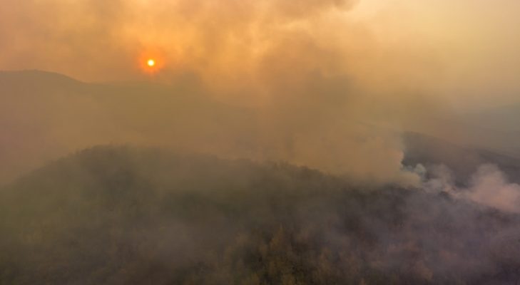 The Amazon is Burning