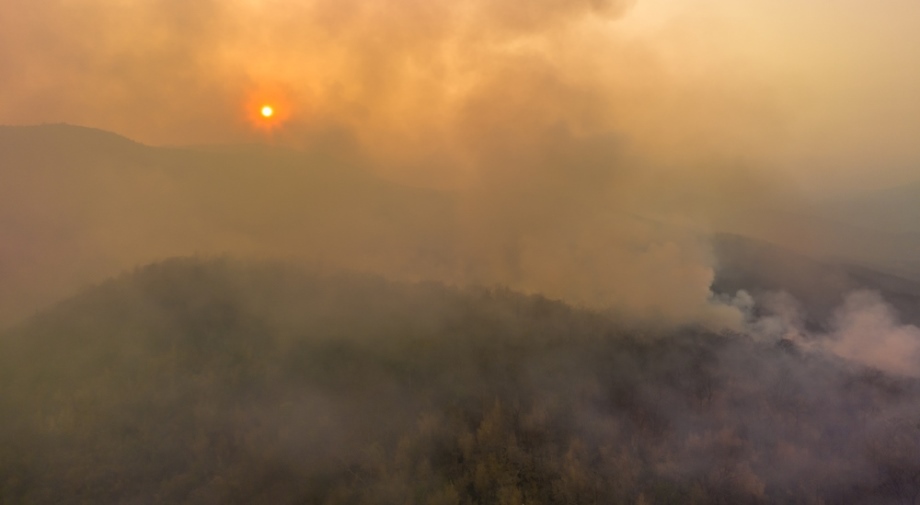 Amazon forest burning