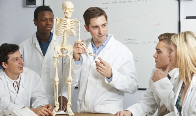 Thai Massage and Anatomy Knowledge