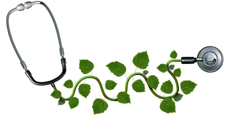 Complementary and Alternative Medicine – Integration, Blends, and Hybrids