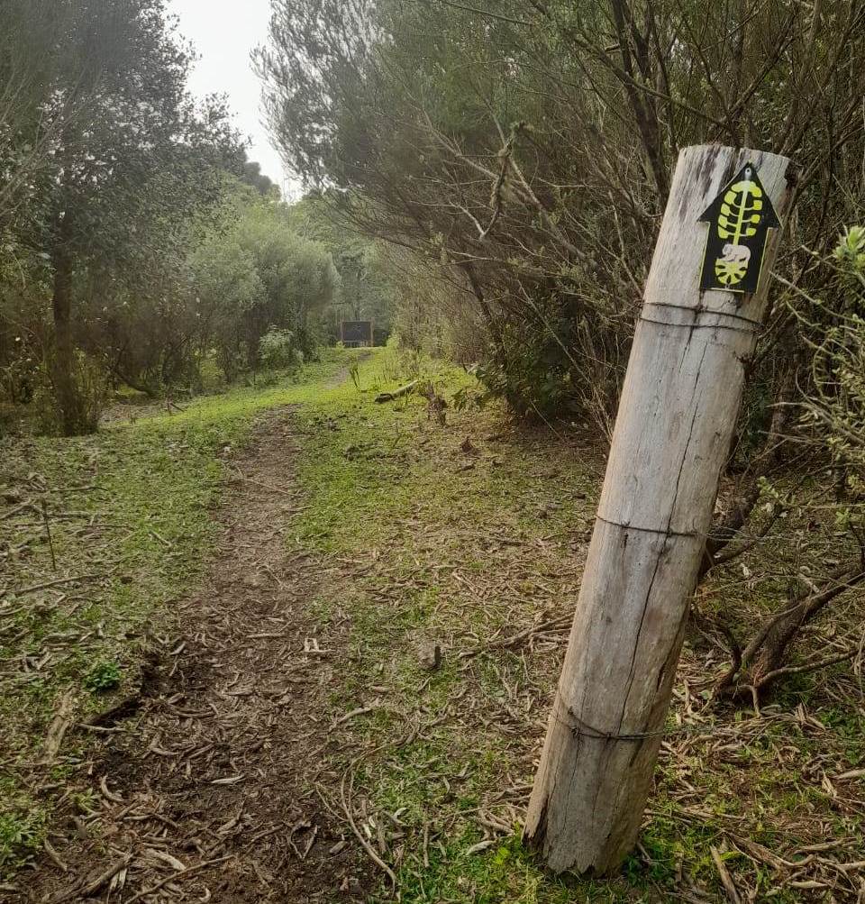 Hiking trail in the Serra Gaucha