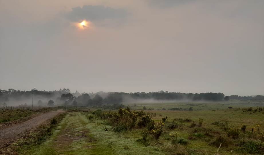 Entry of the park - pasture and forest in the fog