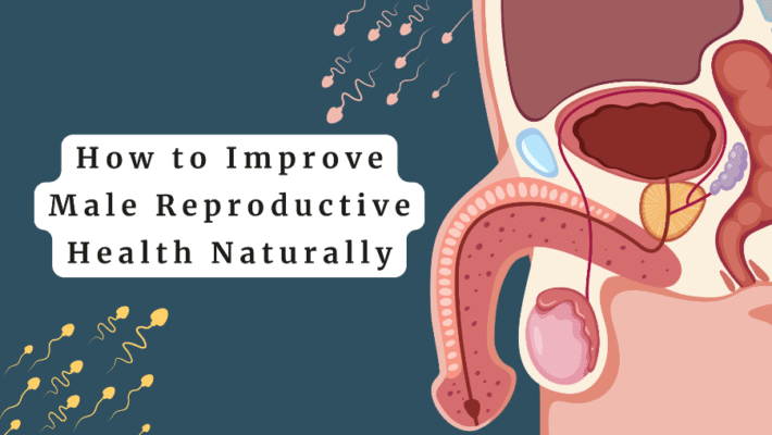 How to Improve Male Reproductive Health Naturally?