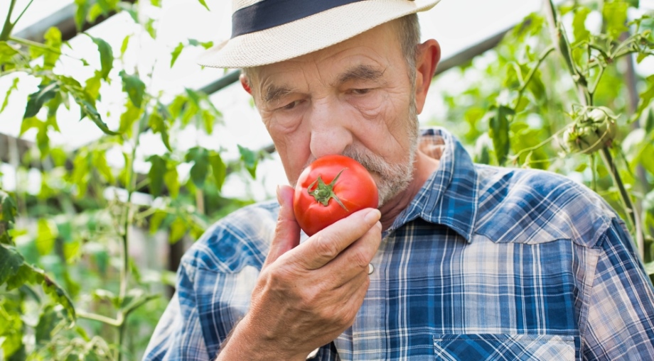 Farmer with tomato