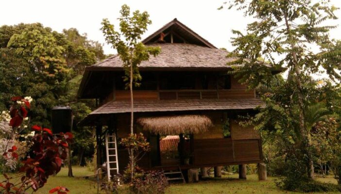 One Year in French Guiana | Off-The-Grid in the Amazon