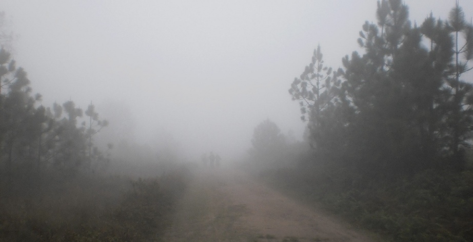 Fog on Phu Kradueng mountain top