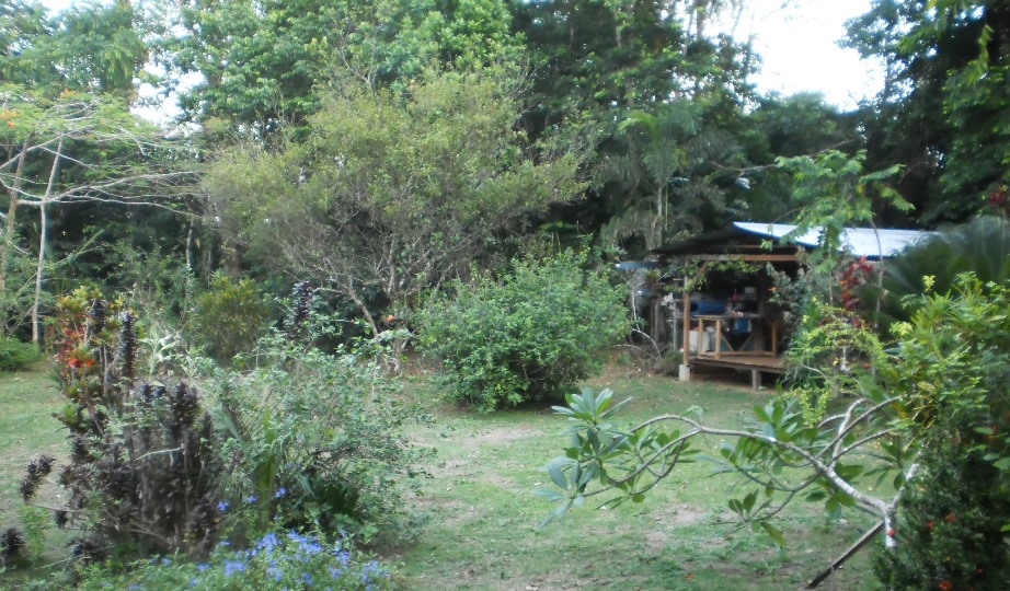 Thai Massage Jungle Retreat in French Guiana Thai Massage Cabin in the Amazon