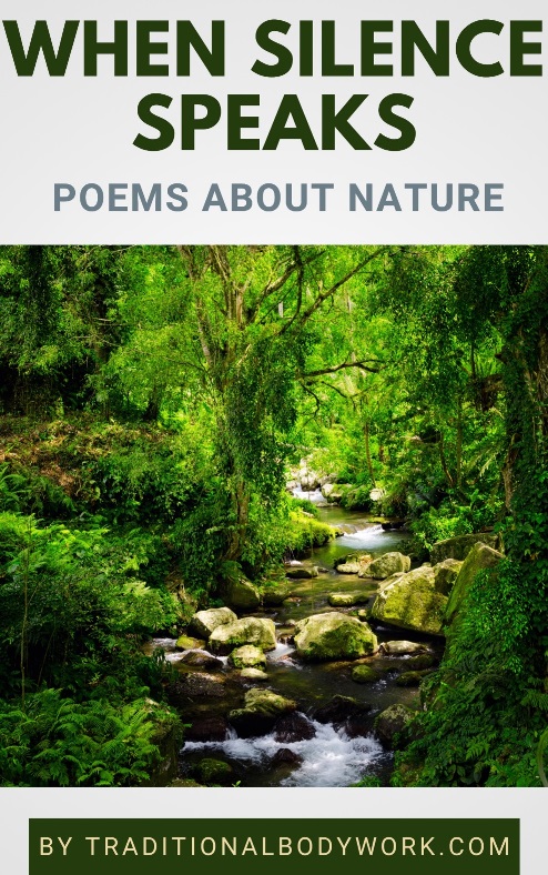 eBook - When Silence Speaks