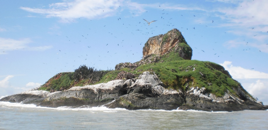 View on Îles du Connétable in La Guyane