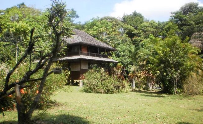 Christmas in French Guiana | Off-Grid Living