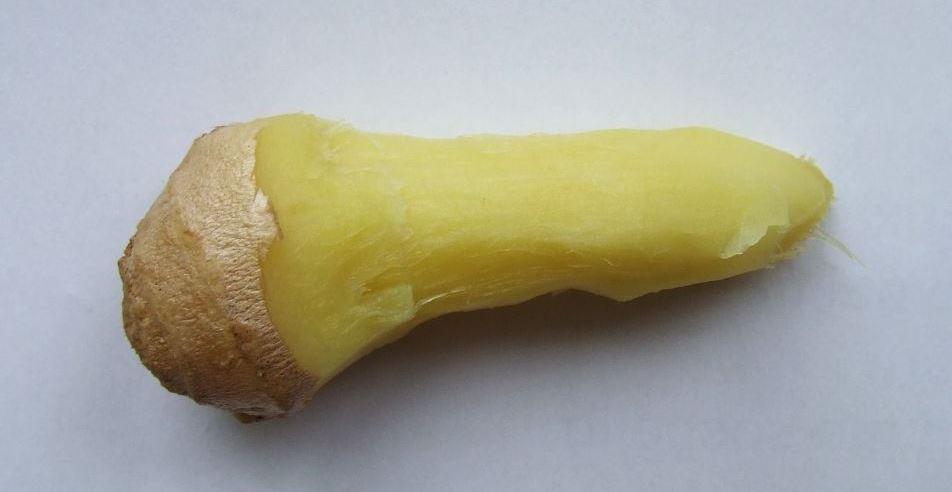 Using Ginger in BDSM Practices - Figging Ginger root carved for figging in BDSM