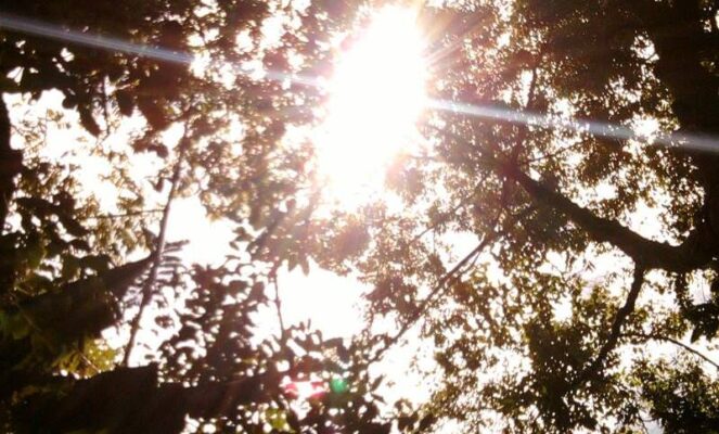 Living in the Amazon Jungle – Hot and Humid