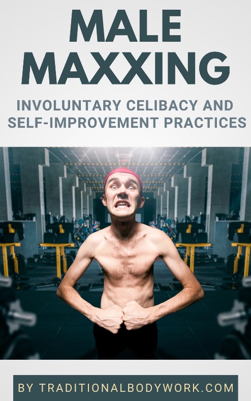 Male Maxxing | Involuntary Celibacy and Self-Improvement Practices Cover