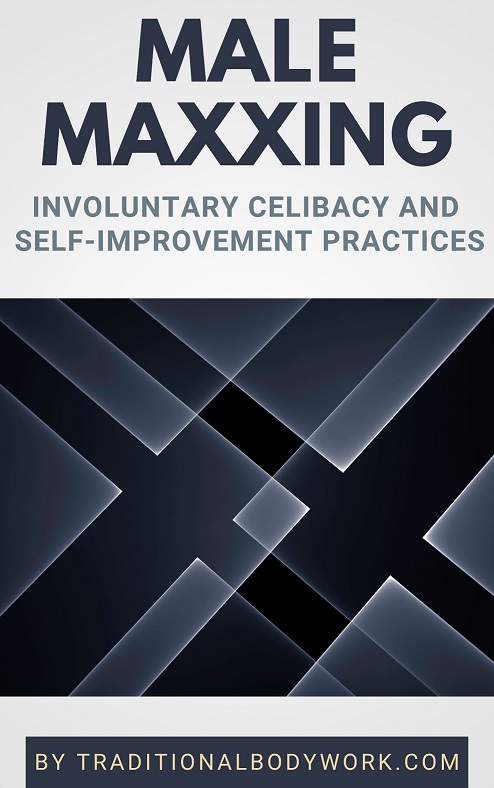 eBook - Male Maxxing