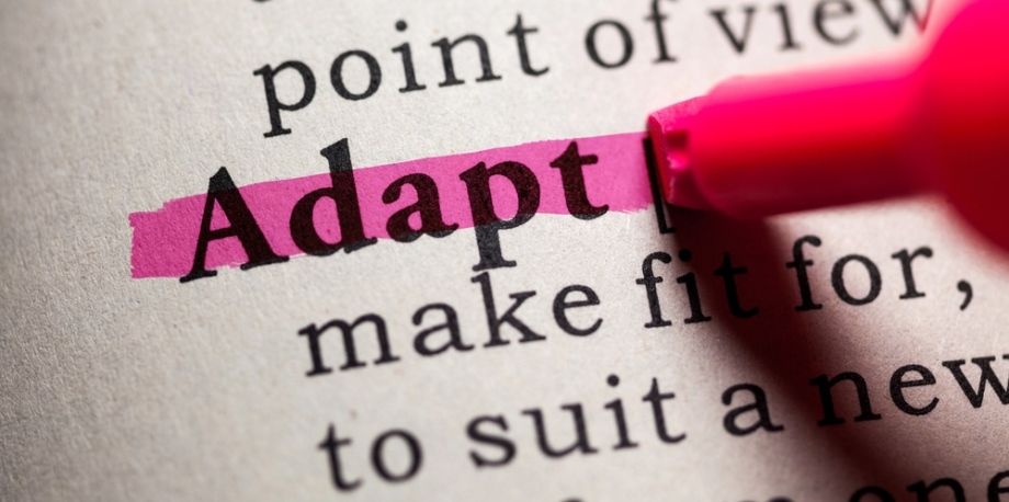 Resolving Health Issues - What Can I Change? Meaning of adapt