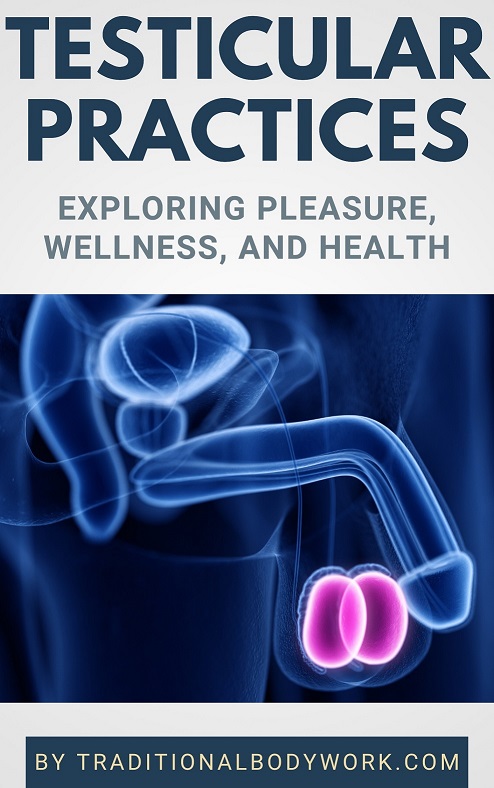 eBook - Testicular Practices